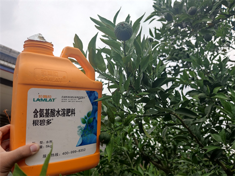 水溶肥,翠姆,愛(ài)媛種植管理 水溶肥,翠姆,愛(ài)媛種植管理