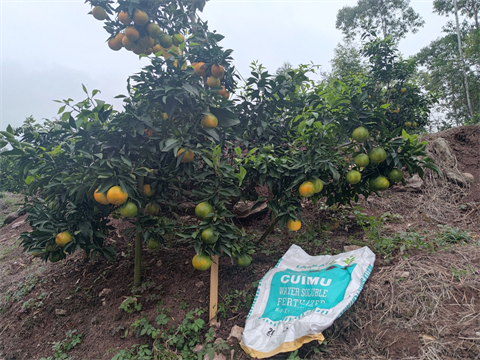 水溶肥,翠姆,愛(ài)媛種植管理 水溶肥,翠姆,愛(ài)媛種植管理