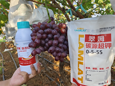 水溶肥,翠姆,葡萄水溶肥 水溶肥,翠姆,葡萄水溶肥