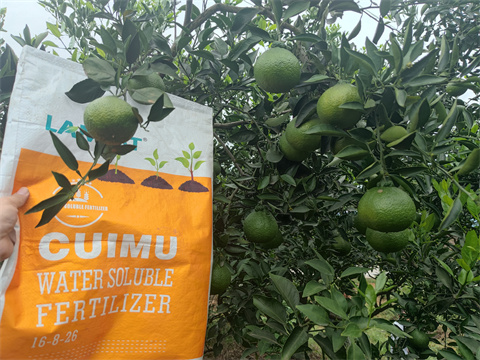 水溶肥,翠姆,柑橘種植 水溶肥,翠姆,柑橘種植