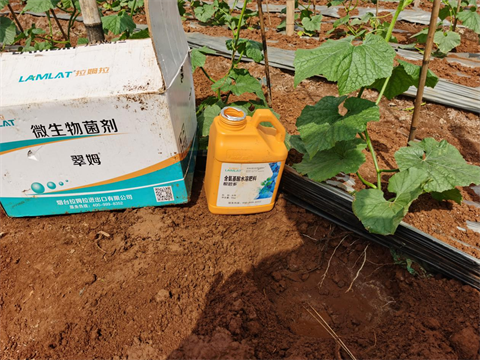 水溶肥,翠姆,拉姆拉 水溶肥,翠姆,拉姆拉