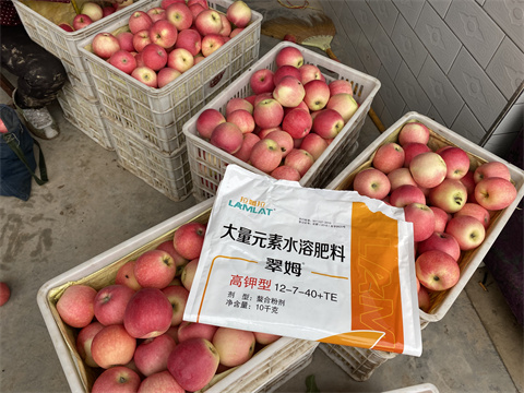 水溶肥,翠姆,蘋果種植 水溶肥,翠姆,蘋果種植
