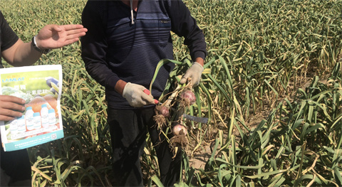 水溶肥,翠姆,拉姆拉 水溶肥,翠姆,拉姆拉